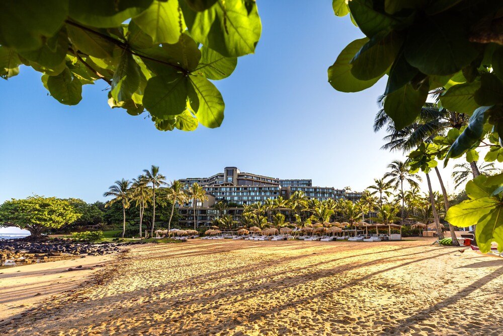 Playa con el hotel al fondo y palmeras