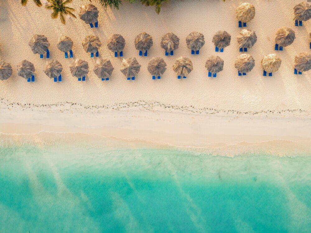 Vista aérea de una playa con filas de sombrillas de paja