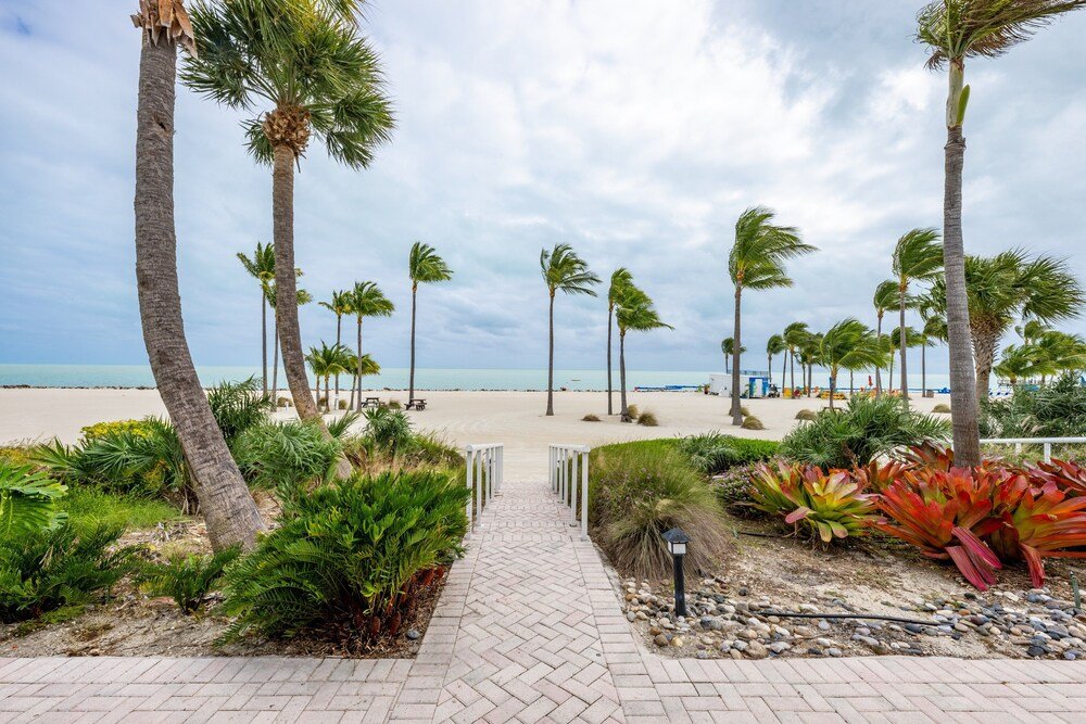 Sendero pavimentado hacia una playa con palmeras