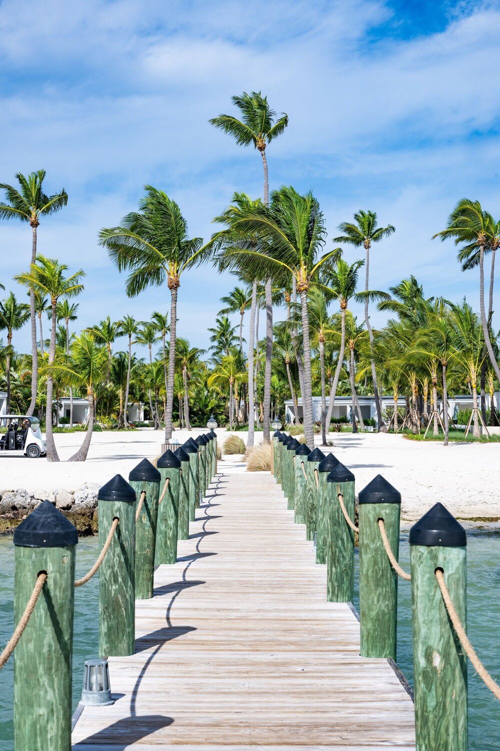 Muelle de madera hacia una playa con palmeras