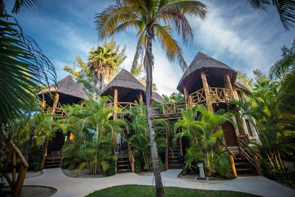 Resort bungalows with thatched roofs surrounded by palm trees