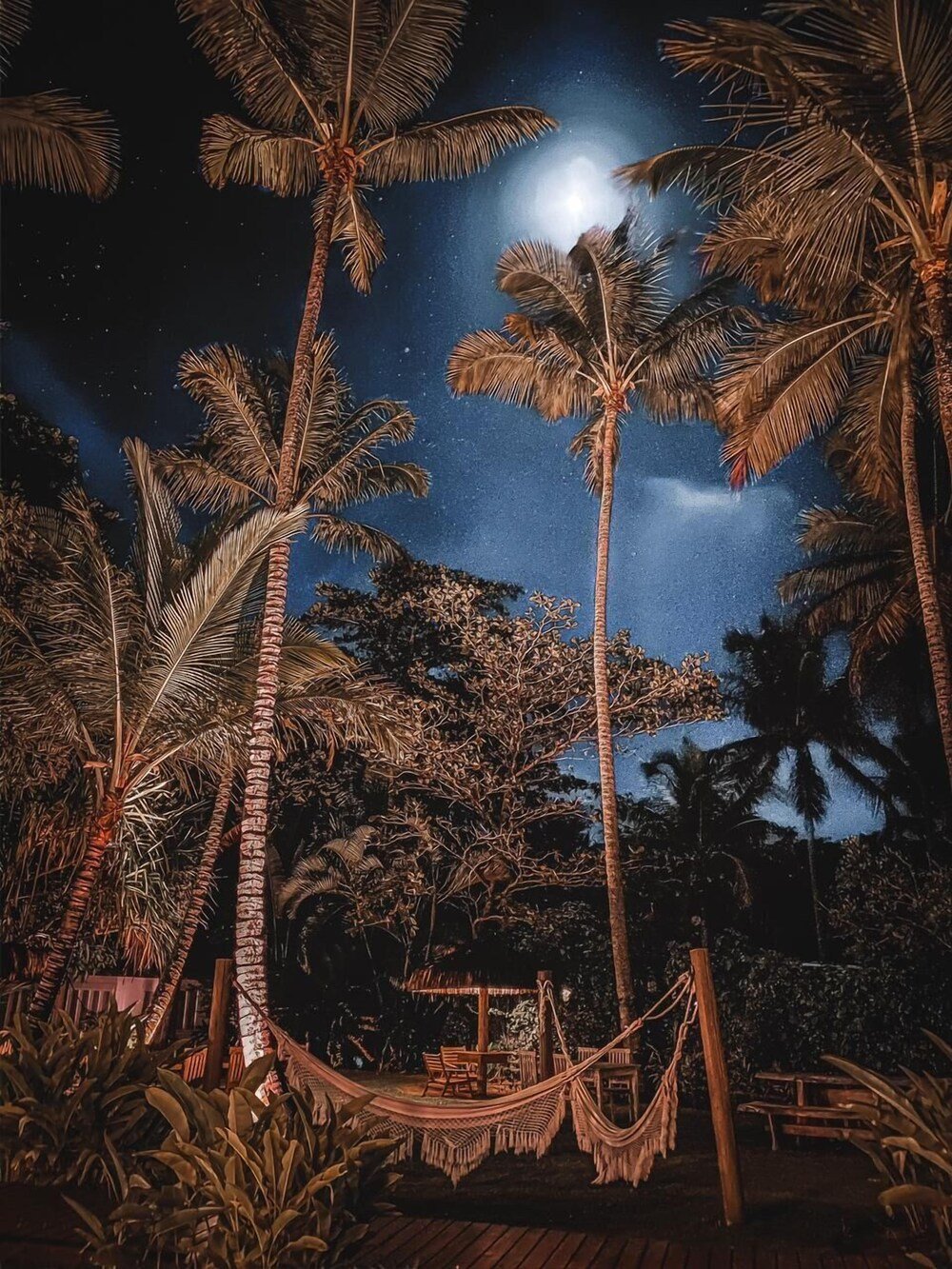 Hamaca colgada entre palmeras bajo un cielo nocturno