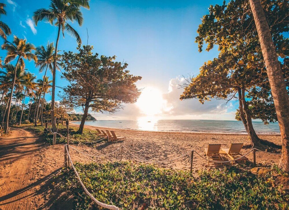 Playa con palmeras, un sendero de arena y reposeras