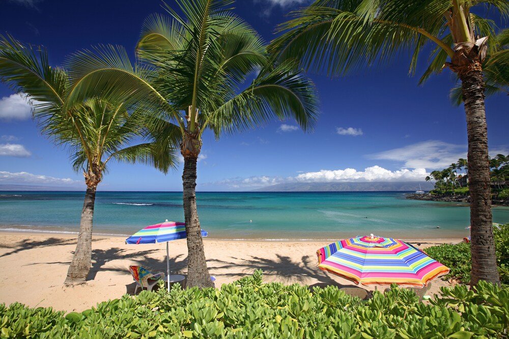 Playa con palmeras bajo un cielo azul despejado