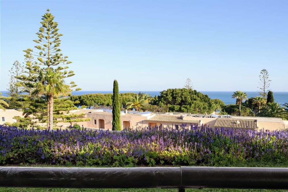 Paisaje costero con distintos tipos de árboles cerca del hotel